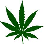 weed-hi